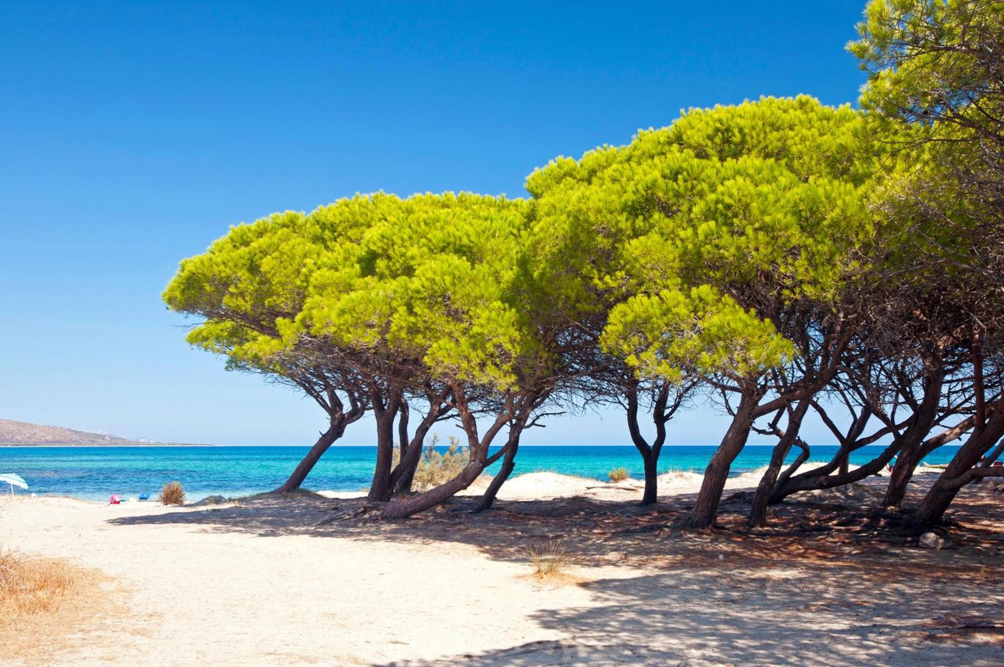 Futura Club Cala Fiorita Hotel Agrustos Екстериор снимка